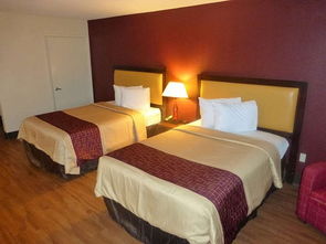 在海湾与海岸之间 探索“湾岸”酒店的惬意住宿体验